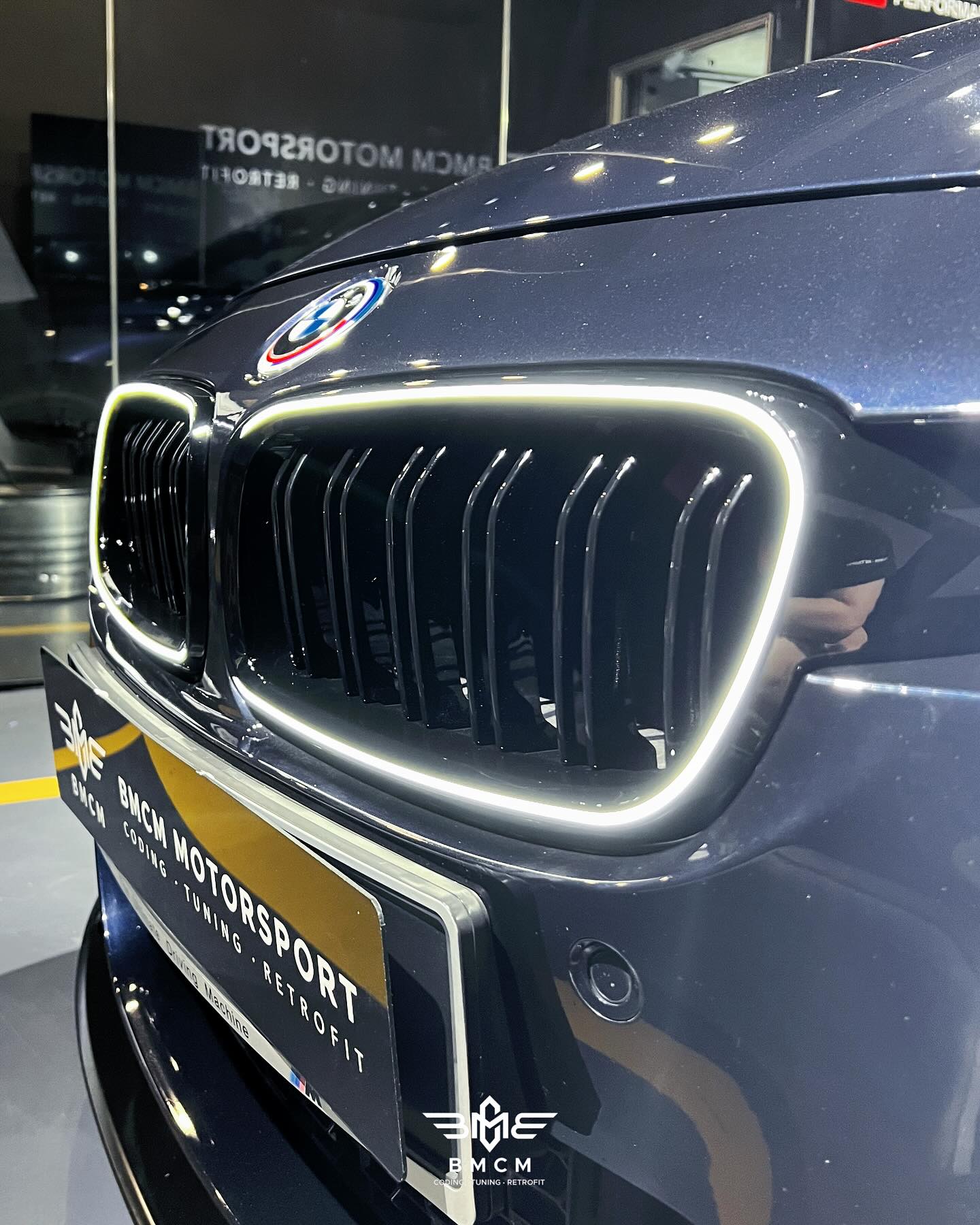 BMW Iconic Glow LED Grille (F3x)