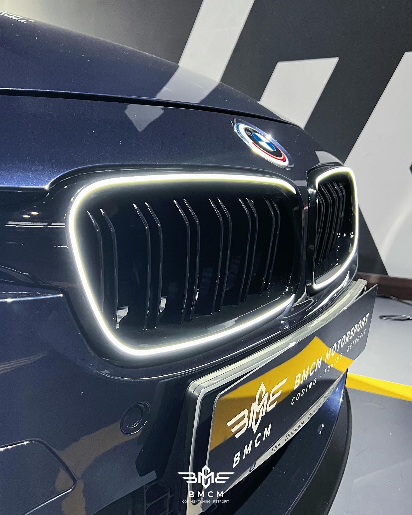 BMW Iconic Glow LED Grille (F3x)
